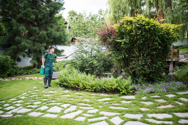 Best Hedge Trimming  in Oakhurst, CA