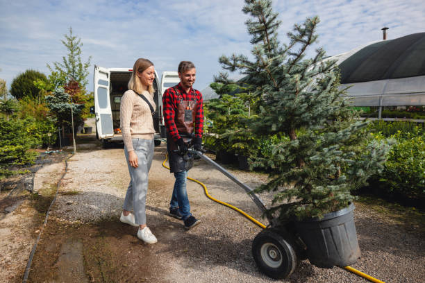 Best Tree Disease Treatment  in Oakhurst, CA